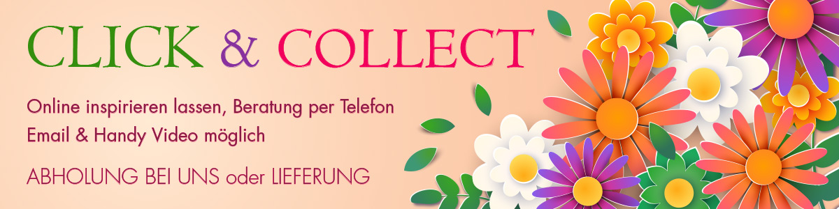 klick&collect header